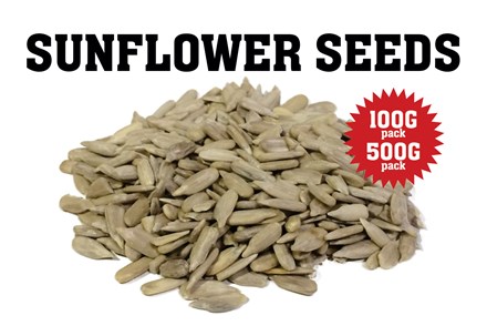 Sunflower seeds sunflwrsds001