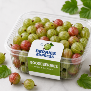 Fresh Gooseberries