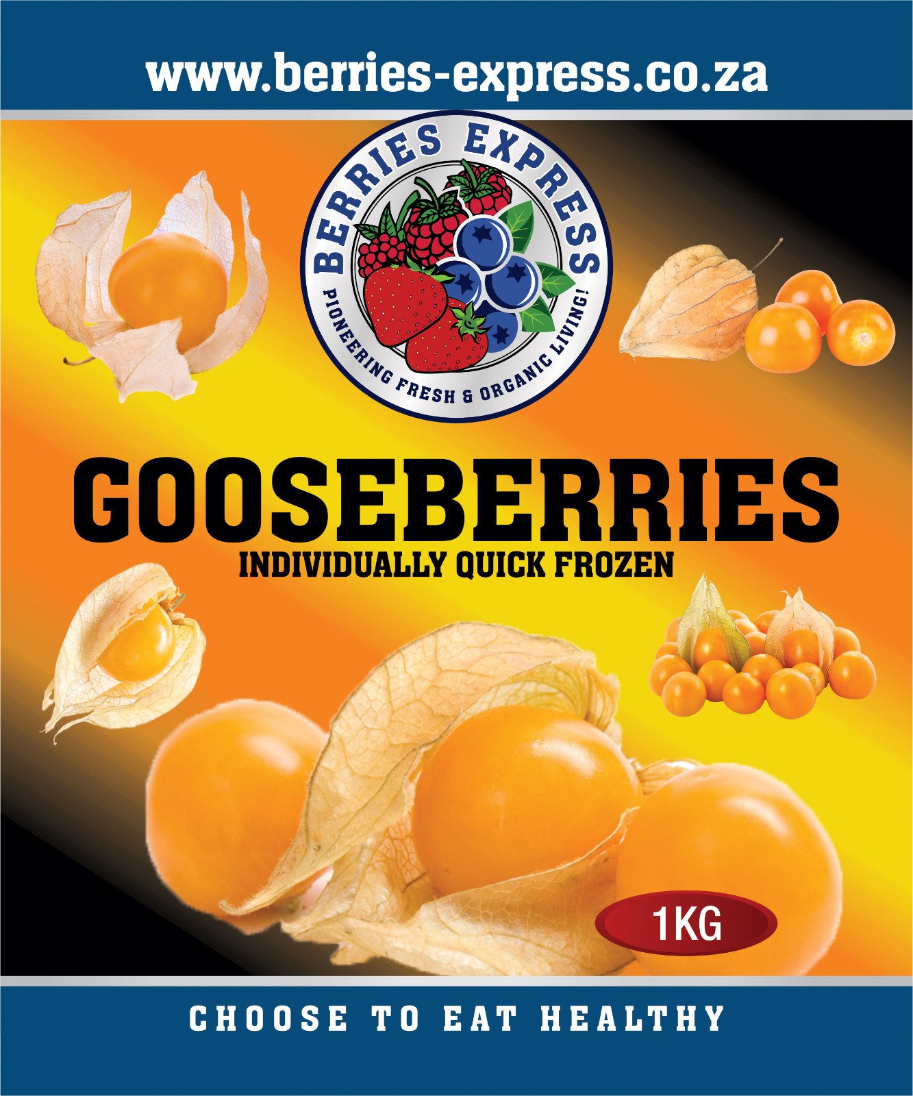 1kg Frozen Gooseberries